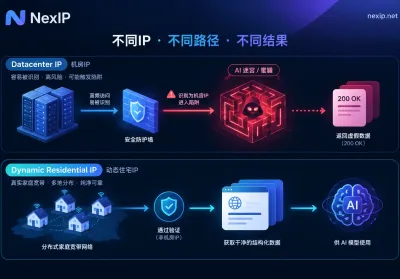 AI Agent与RAG实时检索总拿到假页面？动态住宅IP在AI数据管道中的配置逻辑