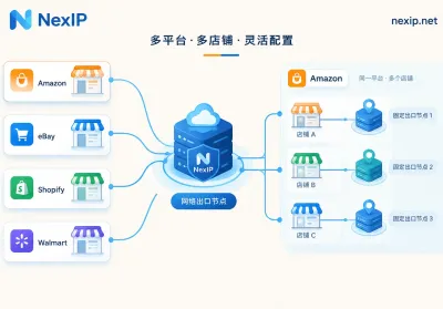 Can Multiple Shops Share a Dedicated IP? First Check the Platform, Then the Entity